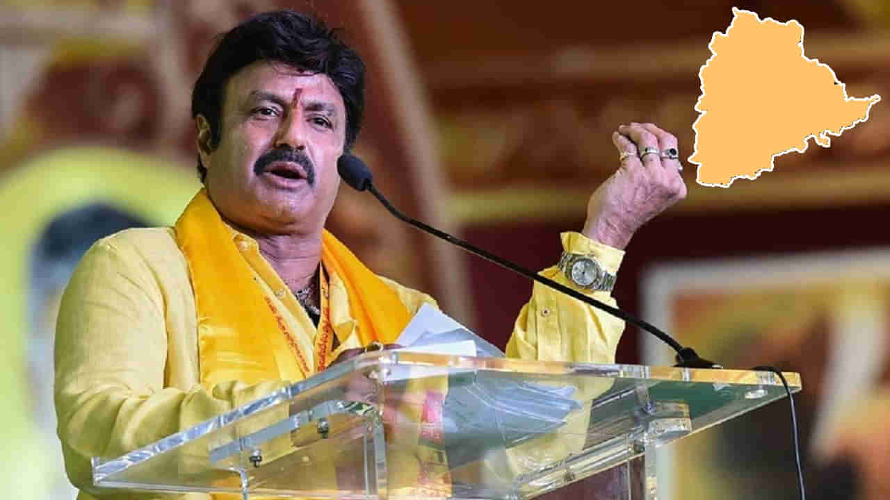 Balakrishna: టీడీపీ.. తెలంగాణ ప్రజల గుండెల్లో ఉంది.. ఇకపై అండగా నేనుంటా.. బాలకృష్ణ సంచలన వ్యాఖ్యలు..