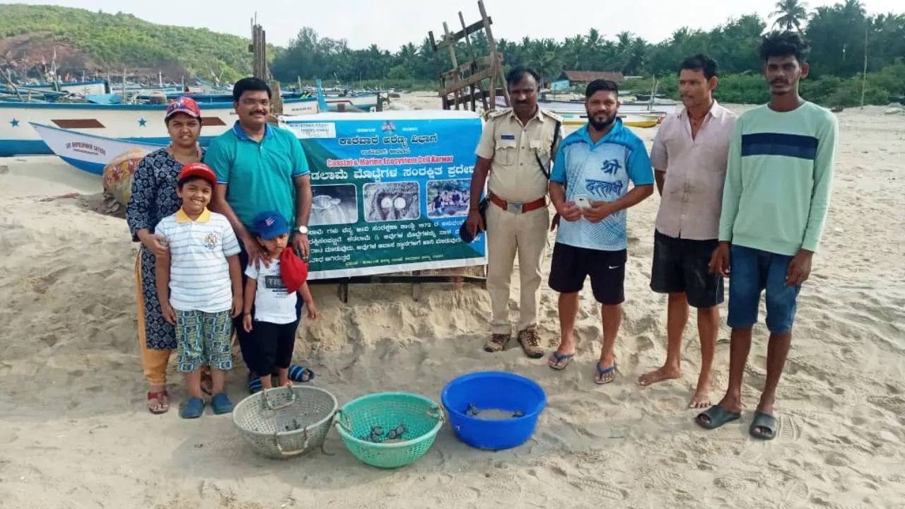 నెలరోజుల క్రితం బీచ్‌లో గుడ్లు పెట్టిన ఆలివ్ రిడ్లీ తాబేళ్లు ఇప్పుడు పొదిగాయి. అటవీశాఖ అధికారులు గుడ్లను భద్రపరిచి పొదిగించారు.