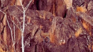 Viral: తవ్వకాల్లో బయటపడిన వింత ఆకారం.. ఏంటని చూడగా వెలుగులోకి షాకింగ్ నిజం!