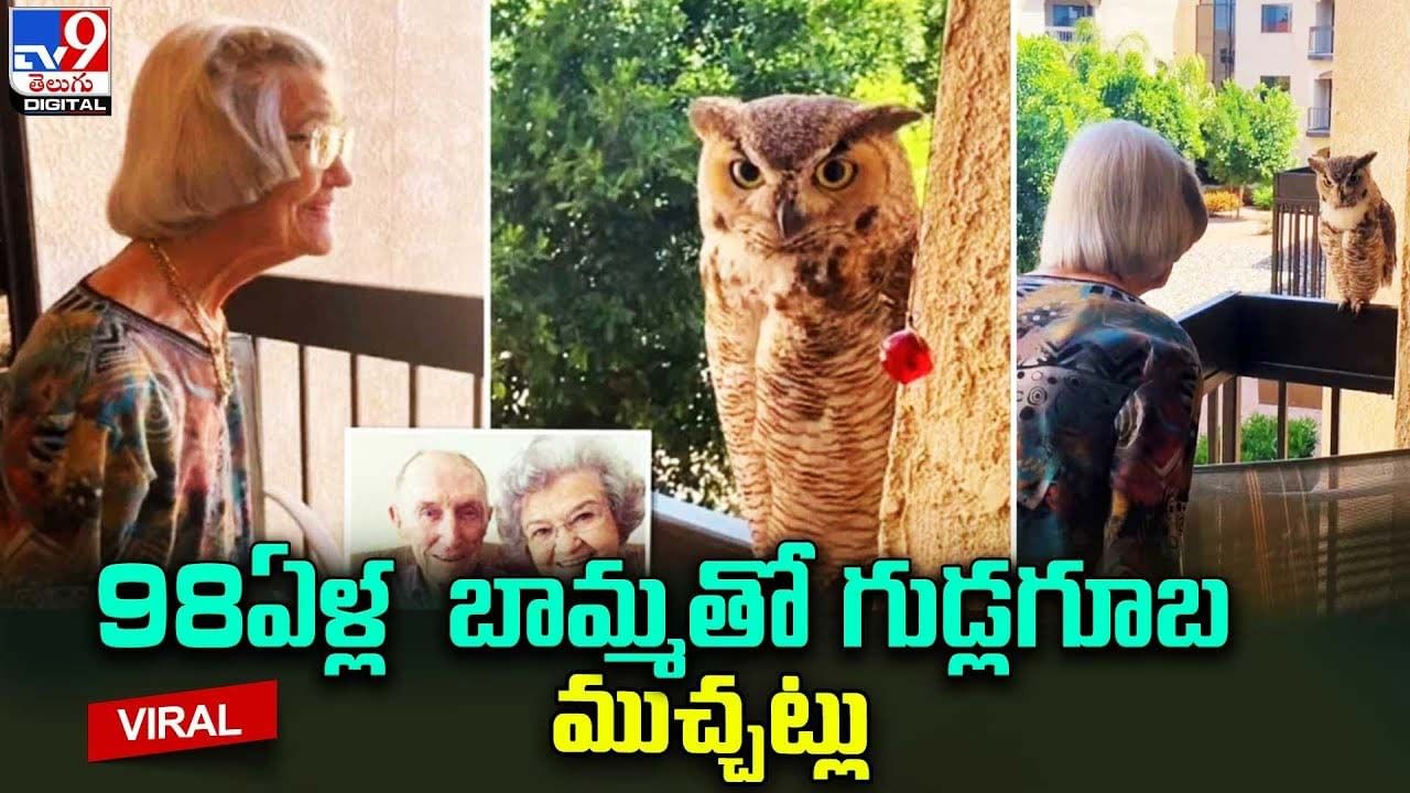 98ఏళ్ల  బామ్మతో గుడ్లగూబ ముచ్చట్లు.