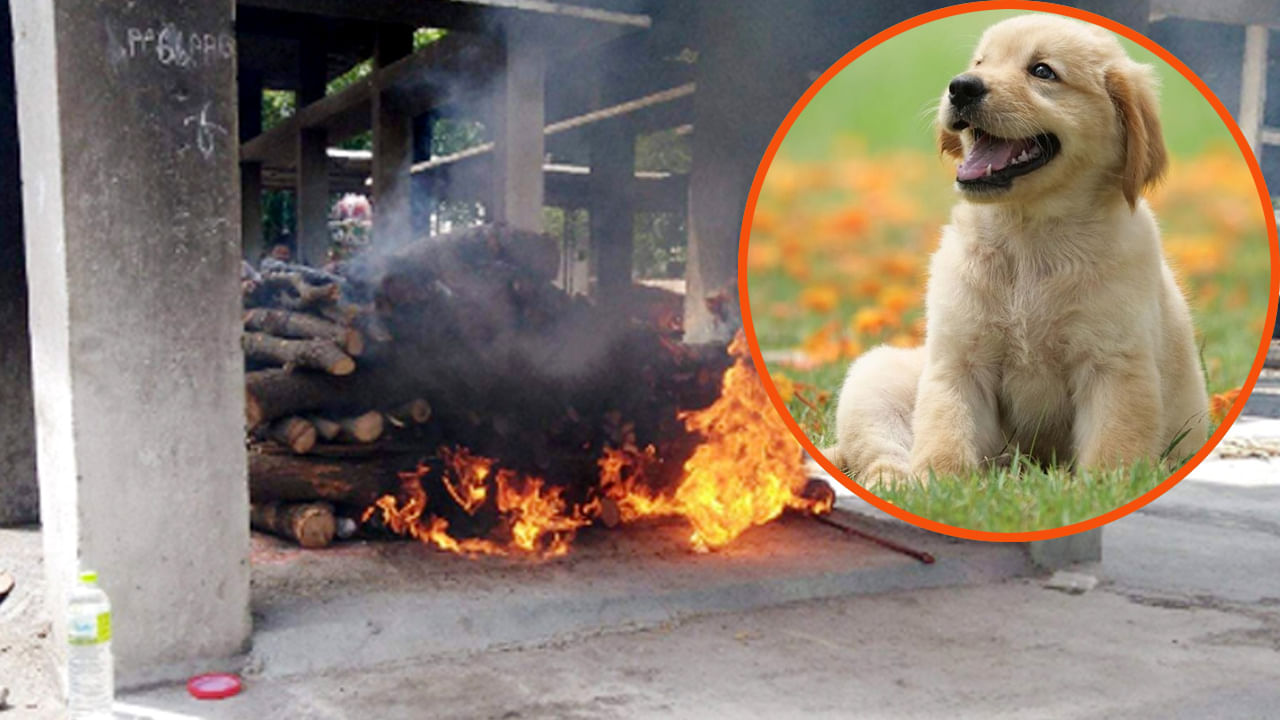 Pet Dog Funeral: పెంపుడు కుక్కకు అంత్యక్రియలు.. హిందూ సాంప్రదాయం ప్రకారం దహన సంస్కారాలు..