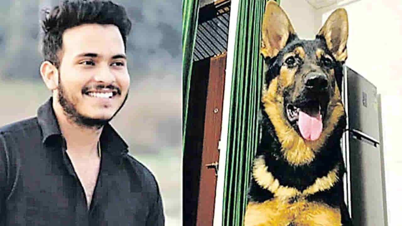 Pet Dog: ఉరికి వేలాడుతున్న యజమానిని దించేందుకు 4 గంటలు పోరాడిన కుక్క.. కానీ పాపం