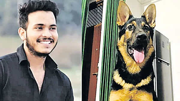 Pet Dog: ఉరికి వేలాడుతున్న యజమానిని దించేందుకు 4 గంటలు పోరాడిన కుక్క.. కానీ పాపం