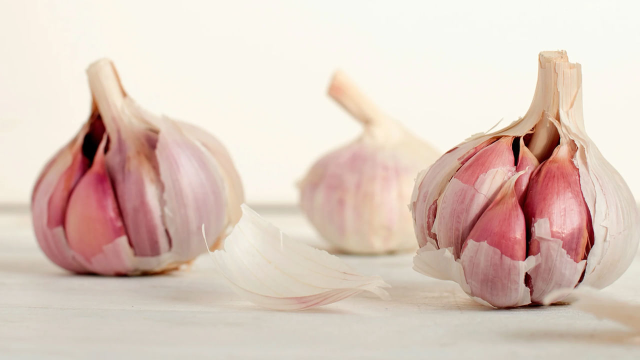 Pink Garlic Benefits: రైతులకు వరంగా మారుతున్న పింక్ వెల్లుల్లి.. భారీ ధర, అద్భుతమైన ఆరోగ్య ప్రయోజనాలు..