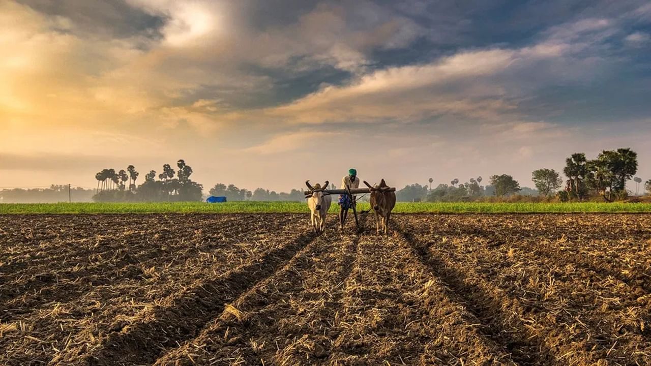 PM Kisan: పీఎం కిసాన్‌ 14వ విడత డబ్బులు ఎప్పుడు వస్తాయో తెలుసా..? ఇందులో మీ పేరు ఉందో లేదో చూసుకోండిలా..!