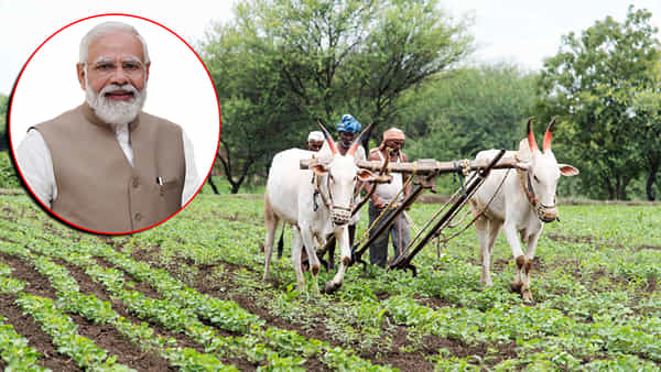 PM Kisan: రైతు ఇతరుల భూమిలో వ్యవసాయం చేస్తే పీఎ కిసాన్ సాయం పొందవచ్చా..?