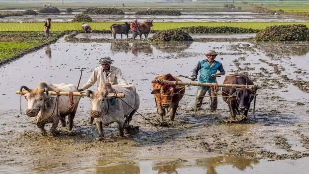 అయితే, ఈ పథకం ద్వారా ఒక కుటుంబంలోని ఎంత మంది రైతులు లబ్ధి పొందుతారనేది రైతులకు ముఖ్యం. ఇందుకోసం ప్రభుత్వం స్పష్టమైన సమాచారం ఇచ్చింది.