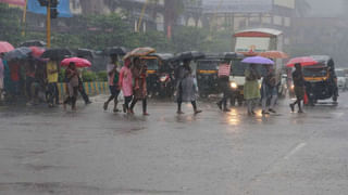 Hyderabad: డెలివరీ బాయ్‌పైకి దూసుకొచ్చిన పెంపుడు కుక్క.. పాపం, ప్రాణాలు కాపాడుకునేందుకు..