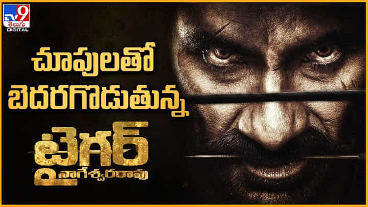 Tiger Nageshwar Rao: చూపులతో బెదరగొడుతున్న టైగర్..! పులిని వేటాడే పులిని ఎప్పుడైనా చూశారా.. Tiger Nageshwar Rao: చూపులతో బెదరగొడుతున్న టైగర్..! పులిని వేటాడే పులిని ఎప్పుడైనా చూశారా..