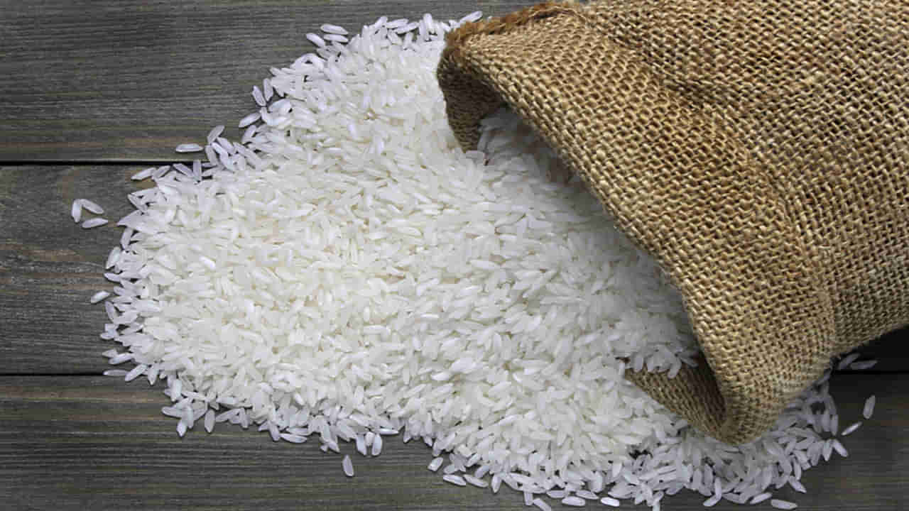 Sugar Free Rice: మధుమేహ బాధితులకు గుడ్‌న్యూస్.. షుగర్ ఫ్రీ రైస్‌ అభివృద్ధి చేస్తున్న శాస్త్రవేత్తలు.. మార్కెట్లోకి ఎప్పుడుంటే..