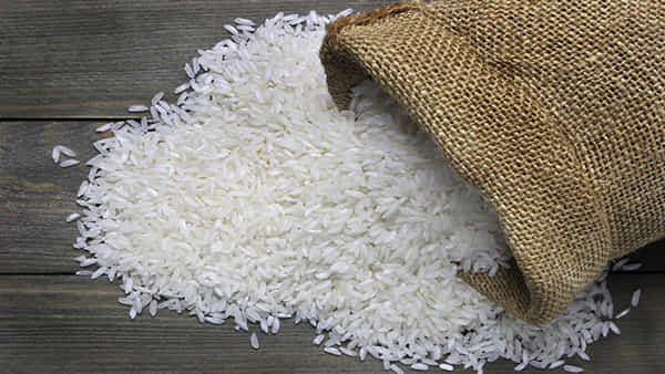 Sugar Free Rice: మధుమేహ బాధితులకు గుడ్న్యూస్.. షుగర్ ఫ్రీ రైస్ అభివృద్ధి చేస్తున్న శాస్త్రవేత్తలు.. మార్కెట్లోకి ఎప్పుడుంటే..