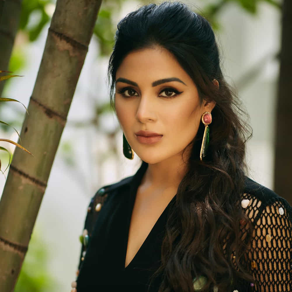 పవర్ స్టార్ పవన్ కళ్యాణ్, రానా దగ్గుబాటి కలిసి నటించిన చిత్రం భీమ్లానాయక్. బాక్సాఫీస్ వద్ద ఈ మూవీకి మంచి రెస్పాన్స్ వచ్చింది. ఇందులో నిత్యామీనన్, సంయుక్త మీనన్ కథానాయికలుగా నటించారు. అయితే ఈ సినిమాతోనే తెలుగు తెరకు పరిచయమైంది సంయుక్త. ఈ చిత్రంలో రానా భార్యగా కనిపించి నటనపరంగా ప్రశంసలు అందుకున్నారు.