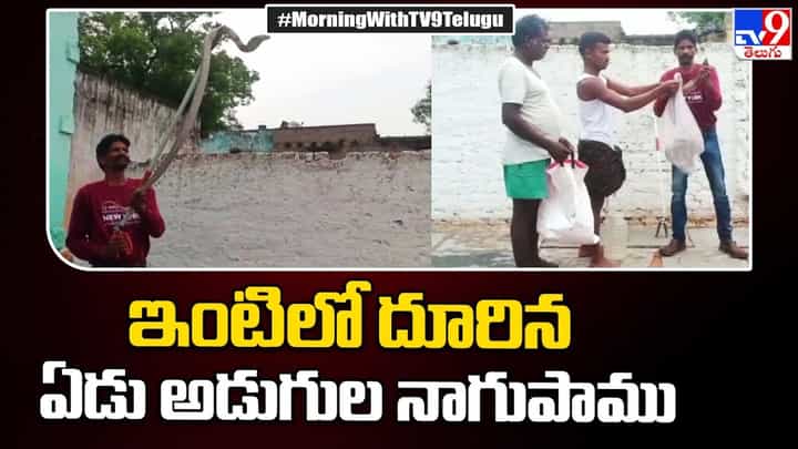 Watch Video: ఇంట్లో ప్రత్యక్షమైన నాగుపాము.. చాకచక్యంగా పట్టుకున్న స్నేక్ క్యాచర్.. Watch Video: ఇంట్లో ప్రత్యక్షమైన నాగుపాము.. చాకచక్యంగా పట్టుకున్న స్నేక్ క్యాచర్..
