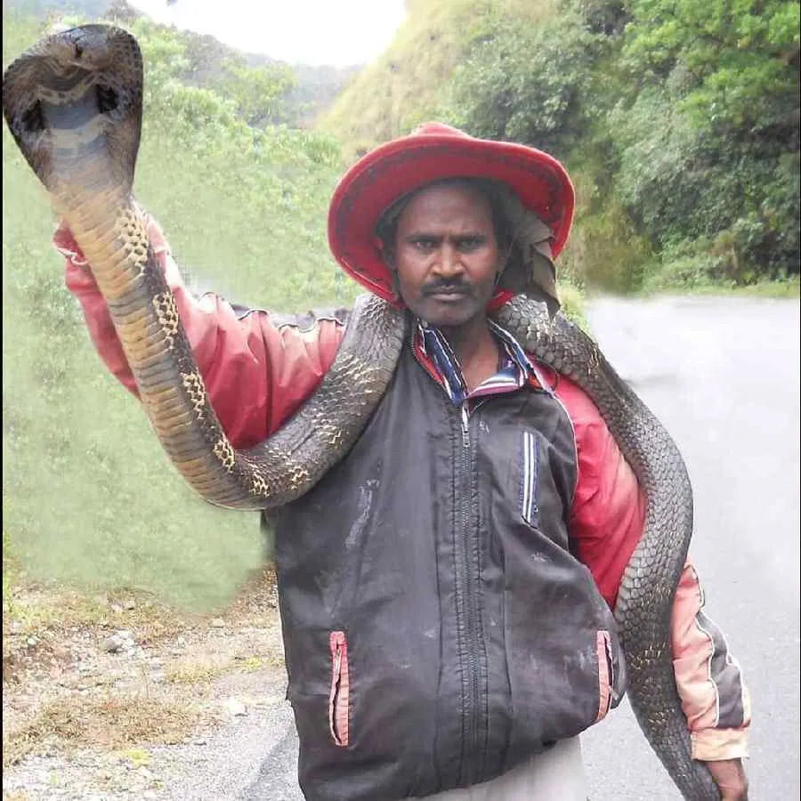 Snake Naresh 1