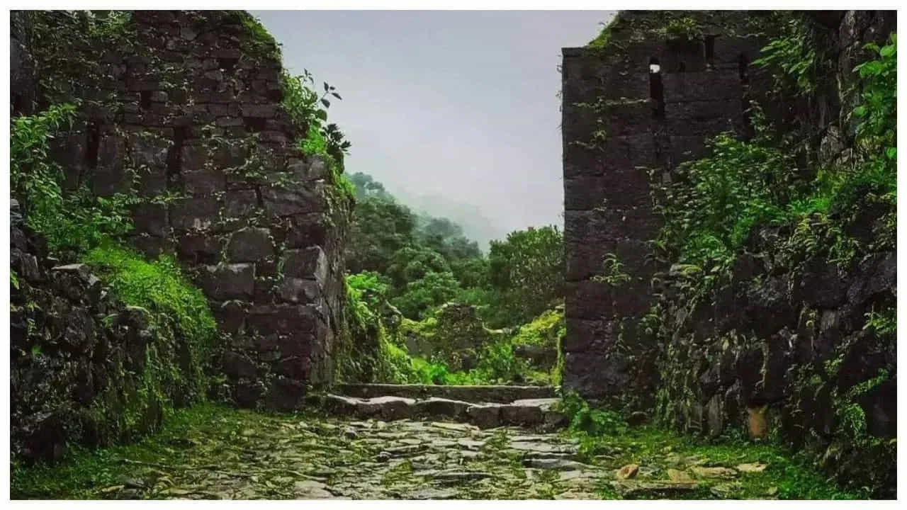చిక్కమగళూరు: చిక్కమగళూరు అనేక అందమైన పర్యాటక ప్రదేశాలతో కూడిన జిల్లా. ఇది బెంగళూరుకు సమీపంలో ఉంది. వీకెంట్స్లో సందర్శించేందుకు ప్లాన్ చేసుకోవచ్చు. ఇక్కడి ప్రశాంత వాతావరణం మిమ్మల్ని రిలాక్స్గా ఫీలయ్యేలా చేస్తుంది. హెబ్బే వాటర్ ఫాల్స్, శ్రీ శారదాంబ అమ్మనవర దేవాలయం, ముల్లయనగిరి కొండను మీరు ఇక్కడ సందర్శించవచ్చు.