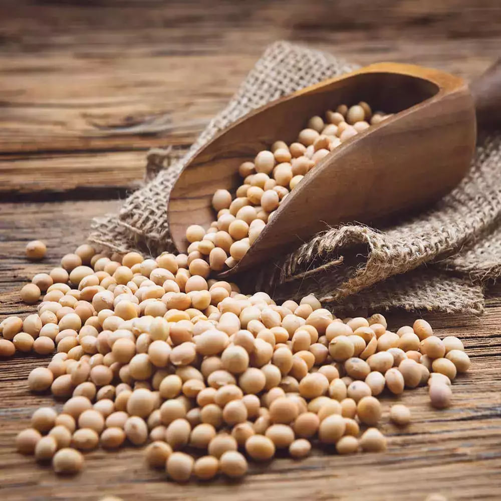 విటమిన్లు, ఖనిజాల లోపం ఉంటే రోగనిరోధక శక్తిని ప్రభావితం చేస్తుంది. బలహీనమైన రోగనిరోధక శక్తి కారణంగా ఏదైనా ఇన్ఫెక్షన్ త్వరగా ప్రభావితమవుతుంది. ఇలాంటి పరిస్థితిలో శరీరం దృఢంగా ఉండటానికి విటమిన్లతో పాటు, ప్రోటీన్ కూడా అవసరం. శరీరంలో దెబ్బతిన్న కణాలను సరిచేయడానికి ప్రోటీన్ సహాయపడుతుంది. 