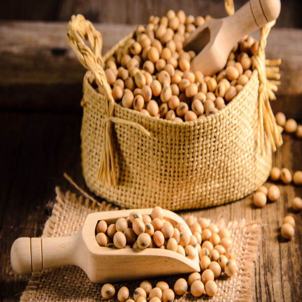 సోయాబీన్ ప్రోటీన్ మంచి మూలం అని వైద్యులు సూచిస్తున్నారు. ఇందులో ప్రొటీన్ అధికంగా ఉంటుంది. కానీ కొలెస్ట్రాల్ ఉండదు. ఇది గుండె సంబంధిత సమస్యలతో బాధపడే వారికి చాలా మంచిది. హృద్రోగులు ప్రోటీన్ కోసం దీనిని తీసుకోవచ్చు.