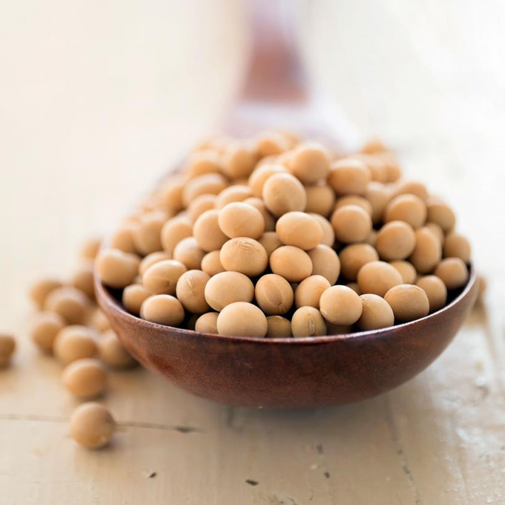 సోయాబీన్ ఎముకలకు కూడా ఎంతో మేలు చేస్తుంది. సోయా పాలలో 1.8 గ్రాముల కొవ్వు ఉంటుంది. అతని ప్రకారం, సోయా పాలు గుండె జబ్బులు, ఎముకలు, రక్తపోటు రోగులకు చాలా ఉపయోగకరంగా ఉంటుంది. పిండిలో కలుపుకుని కూడా తినవచ్చు. దీనిని మొలకలుగా కూడా ఉపయోగించవచ్చు. పరిమిత పరిమాణంలో దీనిని తీసుకోవడం వల్ల అనేక వ్యాధుల ప్రమాదాన్ని కూడా తగ్గిస్తుంది.