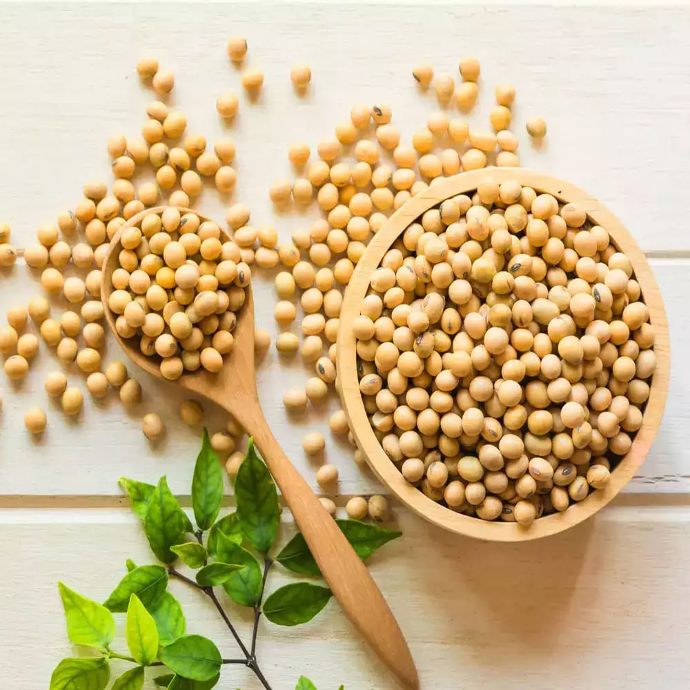 సోయాబీన్‌ను మొలకెత్తి మొలకల రూపంలో తీసుకోవచ్చని డాక్టర్లు చెబుతున్నారు. దీన్ని మైదాలో కలిపి సోయా మిల్క్, సోయా పనీర్ రూపంలో తీసుకోవచ్చు. ఇందులో ప్రొటీన్‌తో పాటు పీచు, కొవ్వు కూడా ఉంటాయని తెలిపారు. అందుకే దీన్ని పరిమిత పరిమాణంలో తీసుకోవాలి.