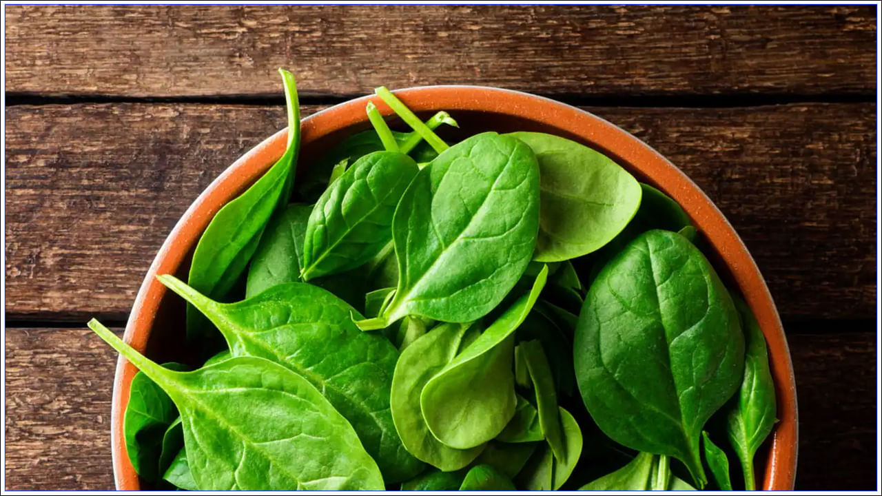 Spinach Side Effects: పాలకూరను ఎక్కువగా తీసుకోవడం మంచిదేనా..? ఎలాంటి వారు తినకూడదు..!