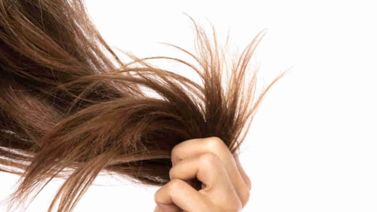 Hair Care Tips: జుట్టు చివర్లు చిట్లిపోతున్నాయా.. అయితే ఇలా చేస్తే ఒత్తైన జుట్టు మీ సొంతం..