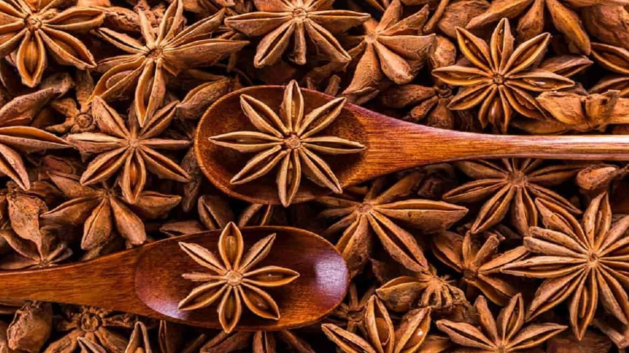 Star Anise Benefits: బిర్యానిలో ఉపయోగించే స్టార్ ప్లవర్ గూర్చి మీకు తెలియని నిజాలు ఇవే..