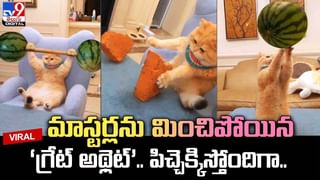 వరుడు చేసిన కొంటె పనికి వివాహం రద్దు చేసుకున్న పెళ్లికుమార్తె