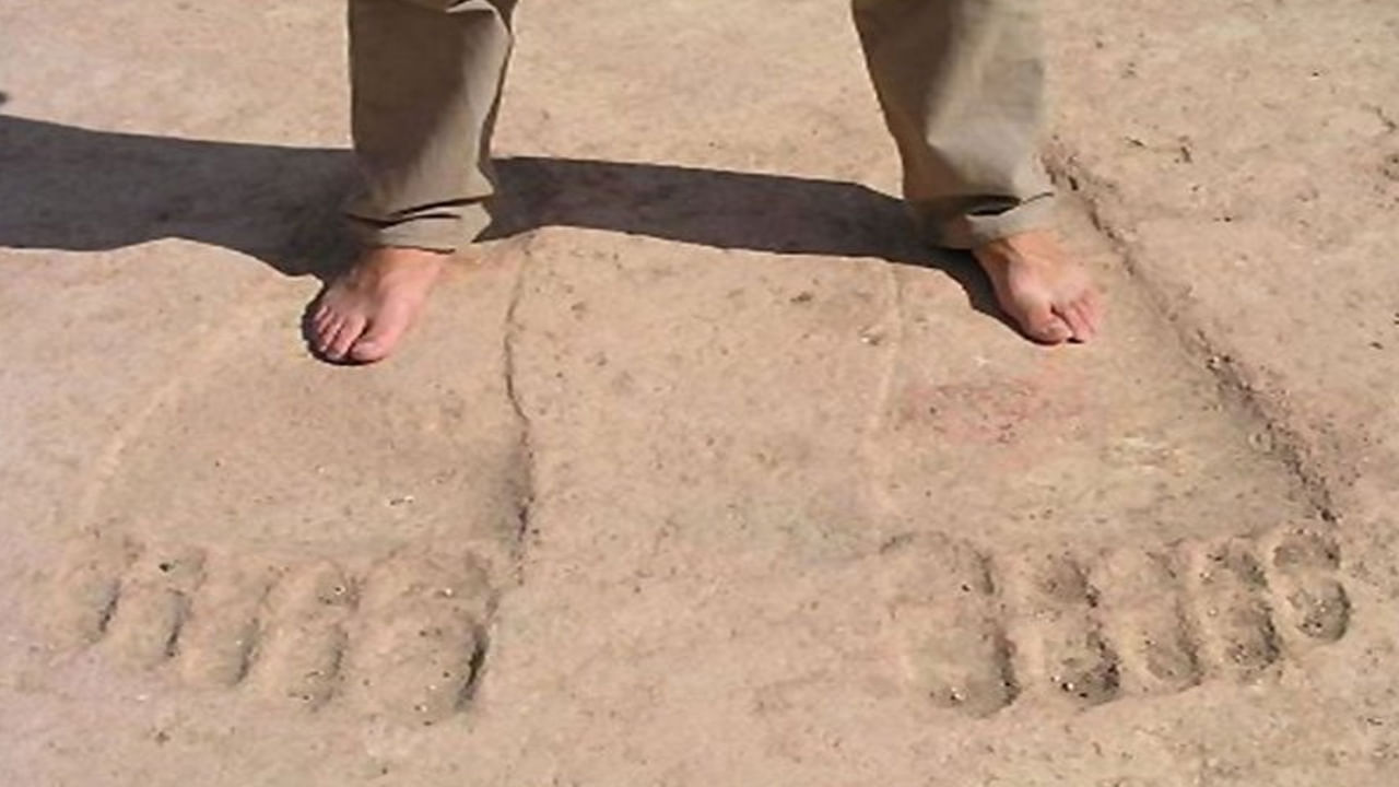 Syrian Temple Footprints: సిరియా అనగానే యుద్ధాలు, దాడులు, బాంబు పేలుళ్లు గుర్తుకు వస్తాయి. కానీ, అలాంటి సిరియాలో అంతచిక్కని రహస్యాలు కూడా అనేకం ఉన్నాయి. సిరియాలోని ఎయిన్ దారా అనే చాలా ప్రసిద్ధి. ఈ ఆలయ ద్వారా అంతుచిక్కని పాదముద్రలు కనిపిస్తాయి. అవి చాలా పెద్ద సైజులో ఉంటాయి. మన మనుషుల కాళ్ల కంటే 3 రెట్లు పెద్దవిగా ఉంటాయి. అవి మనిషివా లేక జంతువువా అన్నది తేలలేదు. స్థానిక భక్తులు మాత్రం అవి దైవ పాదాలు అంటున్నారు. సింహాసనంపై కూర్చునేందుకు దైవమే ఆలయంలోకి నడిచి రావడం వల్ల ఆ ముద్రలు పడ్డాయని అక్కడి వారి నమ్మకం. 