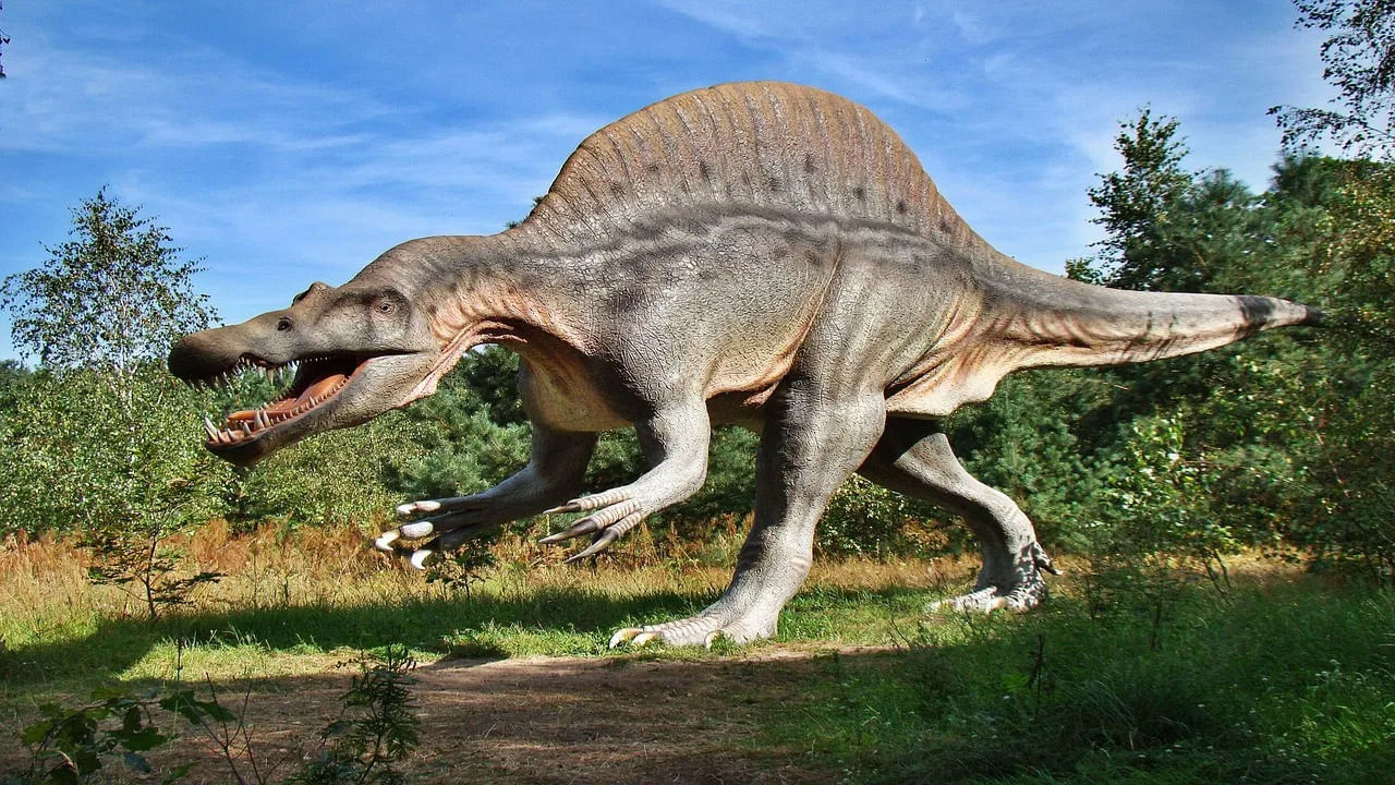 T Rex Dinosaur 4