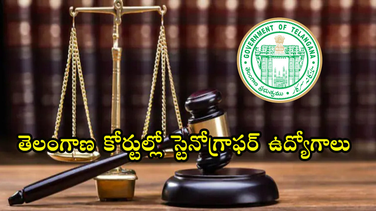 TS Govt Jobs 2023: తెలంగాణ హైకోర్టులో 96 స్టెనోగ్రాఫర్ ఉద్యోగాలు.. టైపింగ్ స్కిల్స్ ఉంటే చాలు