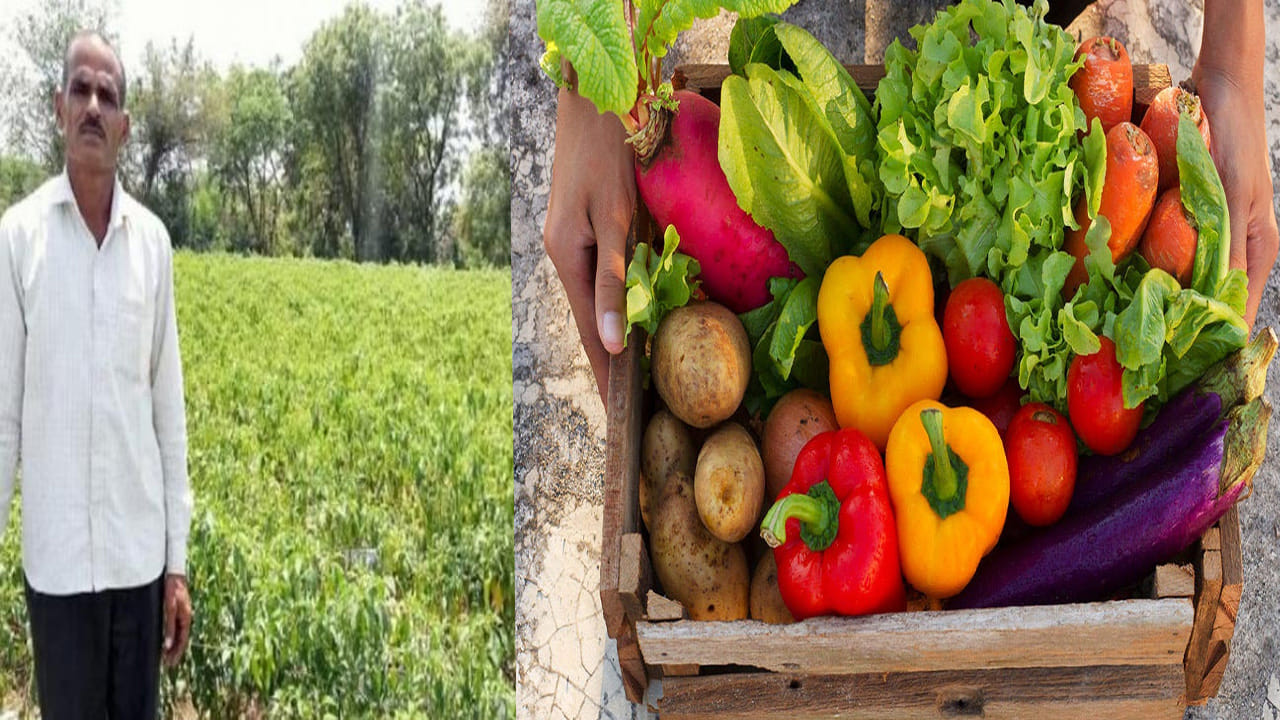 Success Story: ఫ్రెండ్ స్ఫూర్తితో వ్యవసాయం బాటపట్టిన మెకానిక్.. ఏడాదికి 12 లక్షల సంపాదన..