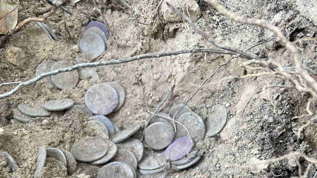 Viral: పర్వతం ఎక్కుతుండగా అలజడి.. కిందపడి మట్టిలో కనిపించినది చూడగా కళ్లు బైర్లు.!