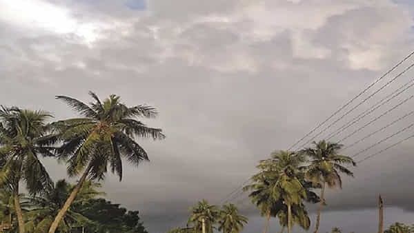 Weather Forecast: అల్పపీడనం ఎఫెక్ట్.. తెలుగు రాష్ట్రాలకు భారీ వర్షసూచన.. వచ్చే మూడు రోజులు ఆ ప్రాంతంలో వానలే వానలు..