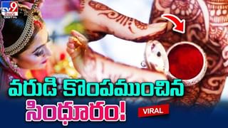 ఈ పిల్లి చేసే స్టంట్స్‌ మీరెప్పుడూ చూసి ఉండరు.. నెట్టింట వీడియో వైరల్