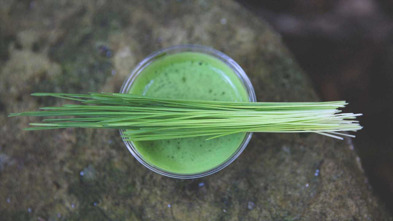 Wheat Grass Juice Benefits గోధుమ గడ్డి జ్యూస్‌ వల్ల ఎన్నో ప్రయోజనాలు