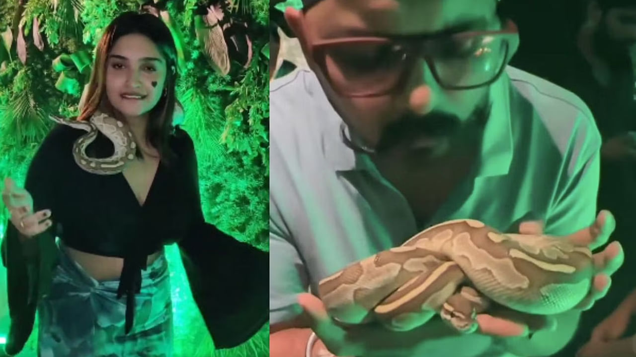 Hyderabad: స్పెషల్ అట్రాక్షన్గా వన్యప్రాణులు.. పబ్లో ఎక్స్ట్రాలు చేసినవారికి మూడింది