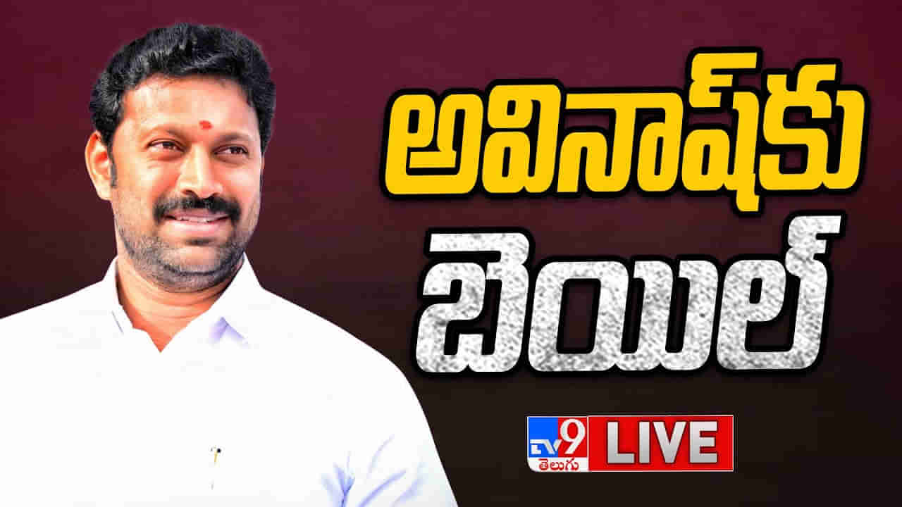 Viveka Murder Case: ఎంపీ అవినాష్‌కి బిగ్ రిలీఫ్.. ముందస్తు బెయిల్ ఇచ్చిన తెలంగాణ హైకోర్ట్..