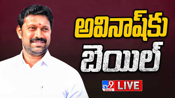 Viveka Murder Case: ఎంపీ అవినాష్కి బిగ్ రిలీఫ్.. ముందస్తు బెయిల్ ఇచ్చిన తెలంగాణ హైకోర్ట్..