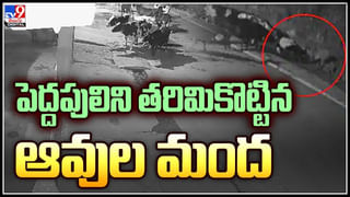 Viral Video: ‘నన్నే డబ్బులు అడుగుతావా.. నీ షాపు ఎలా తెరుస్తావో చూస్తా..! ఓ పోలీస్‌ ఓవరాక్షన్‌..