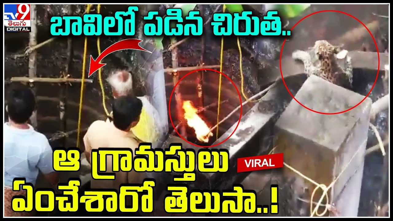 Viral Video: బావిలో పడిన చిరుత.. ఆ గ్రామస్తులు ఏంచేశారో తెలుసా..! వీడియో.