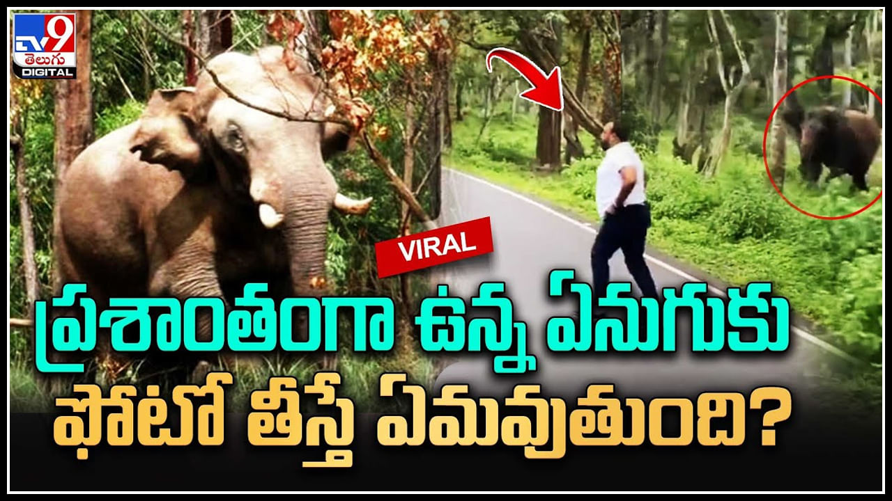 Elephant: ఏనుగుతో పెట్టుకుంటే ఇలాగే ఉంటుంది..బీ కేర్‌ఫుల్‌..! వీడియో.