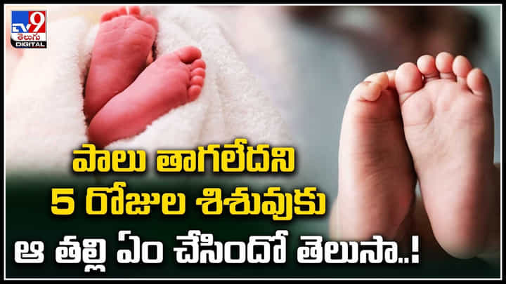 Viral Video: నువ్వేం తల్లివి..? పాలు తాగలేదని 5 రోజుల శిశువును వేడి నూనెలో ముంచింది. Viral Video: నువ్వేం తల్లివి..? పాలు తాగలేదని 5 రోజుల శిశువును వేడి నూనెలో ముంచింది.