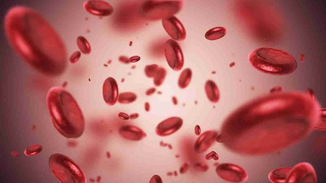 Anemia Problem: రక్తహీనత సమస్య వేధిస్తుందా? రోజువారీ ఆహారంలో వీటిని తీసుకుంటే సమస్య ఫసక్..