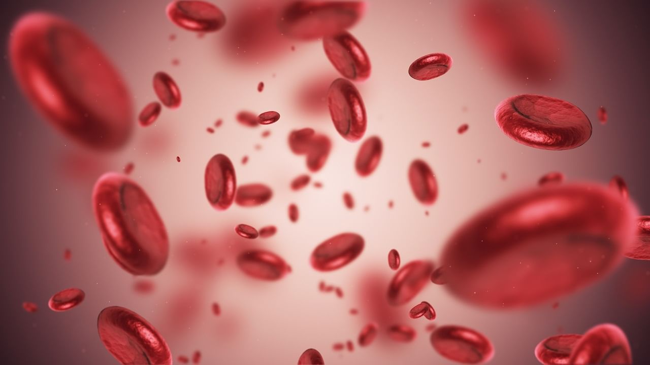 Anemia Problem: రక్తహీనత సమస్య వేధిస్తుందా? రోజువారీ ఆహారంలో వీటిని తీసుకుంటే సమస్య ఫసక్..
