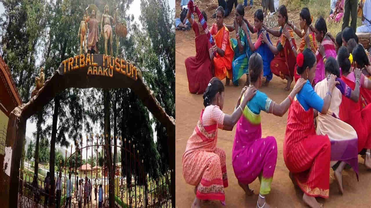 Araku Festival Begins: అరకులో ఆదివాసి సాంస్కృతిక సంబరాలు.. ఆకట్టుకుంటున్న దింస్సా, కోలాటం వంటి ప్రదర్శనలు