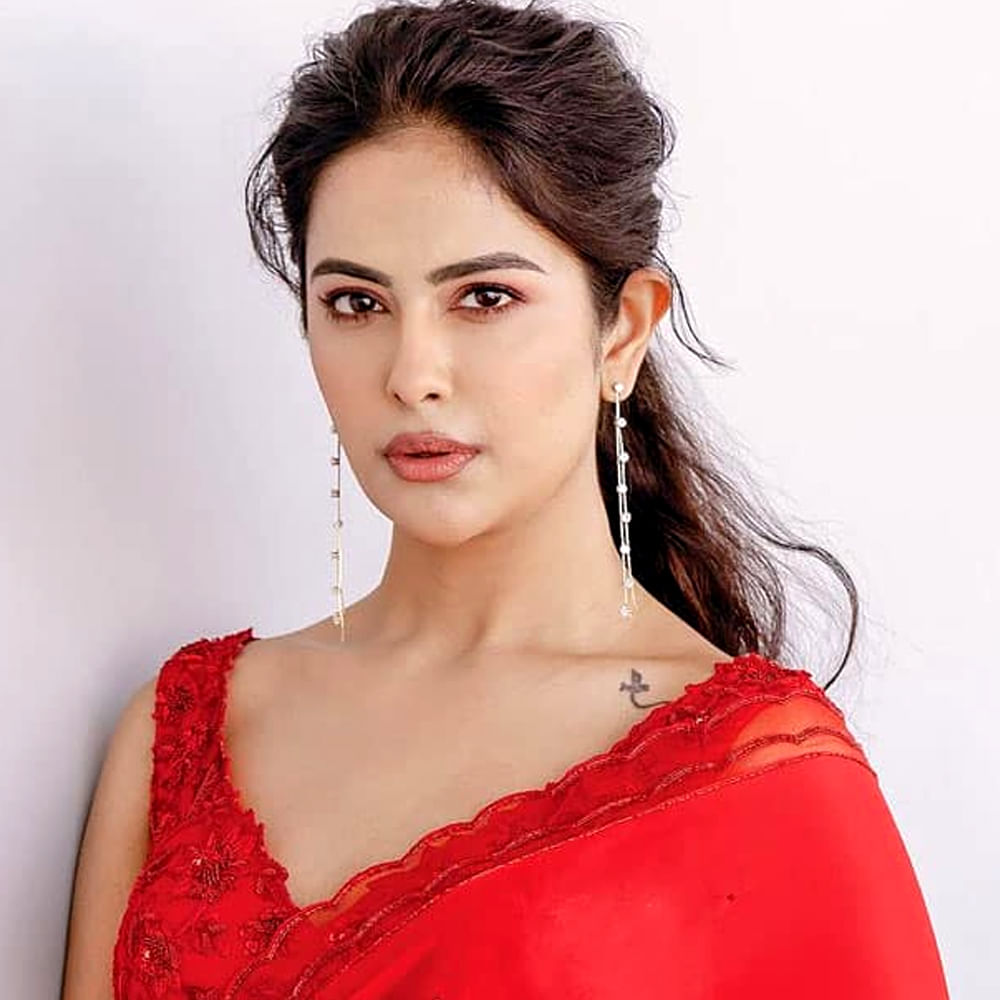 కానీ బాలీవుడ్ లో సౌత్ సినిమాలను ఆదరిస్తారు అని కామెంట్ చేసింది. ఈ కామెంట్స్ వైరల్ అవుతుండటంతో అవికా పై కొందరు ఫైర్ అవుతున్నారు. 