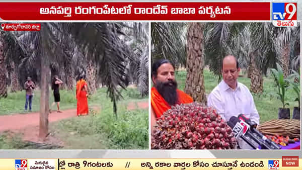 Baba Ramdev: అనపర్తిలో పర్యటించిన బాబా రామ్ దేవ్.. స్థానిక పామాయిల్ రైతులతో ముఖాముఖి.. కారణం ఏమిటంటే..?