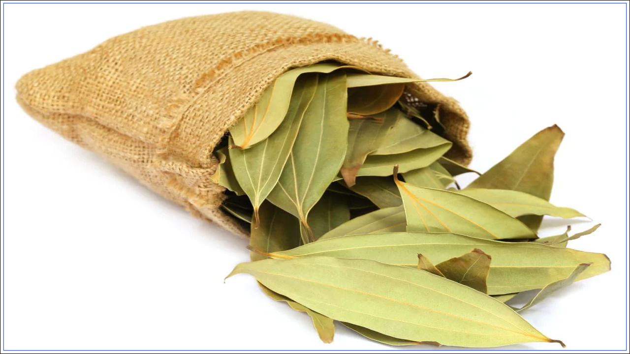 Bay Leaf Benefits బిర్యానీ ఆకుతో అద్భుతమైన ఉపయోగాలు.. ఈ ఐదు సమస్యలకు చెక్‌ Telugu News Bay