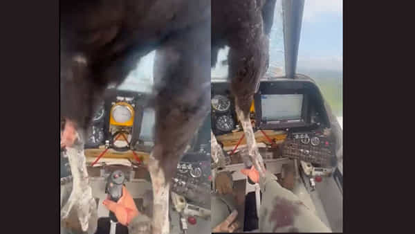 Viral Video: ఎగురుతున్న విమానం విండ్షీల్డ్లో ఇరుక్కుపోయిన పక్షి.. రక్తంతో స్నానం చేసిన పైలట్