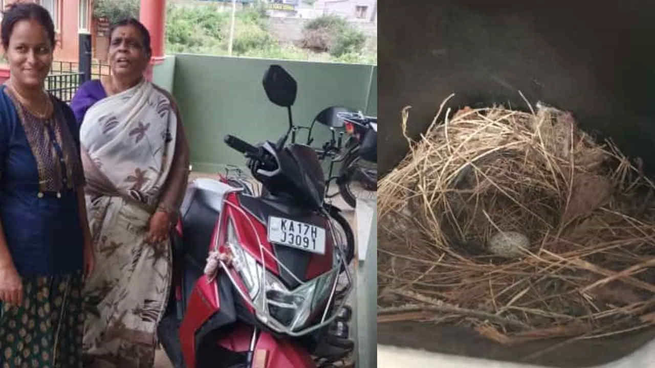 స్కూటీ ముందు పాకెట్లాంటి భాగంలో పక్షి గూడు కనిపించింది. అందులో ఒక గుడ్డు కూడా ఉంది. కానీ, కానీ పక్షి మాత్రం కనిపించలేదు.